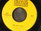 INVINCIBLES: how many times / i couldn't stand it LOMA 7