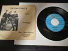 THE ROGUES Opportunity / You  Sur-Speed 210 w/ Pic Slv   RARE   Hear