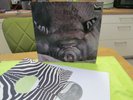 KIN PING MEH - NO. 2 - FIRST ORIGINAL GERMAN 1972 ZEBRA 2949 005   MINT