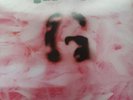 Garbage First Album Deluxe Box Set Meg Rare Inc Signed Print. Unplayed