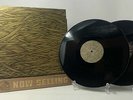 Isis - In The Absence Of Truth Vinyl LP Black