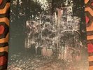 La Dispute - Wildlife Brown & Black Starburst Vinly LP Record 2011