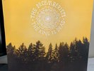 The Decemberists The King Is Dead, RARE Vinyl Record LP, Used.