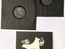 KASABIAN Velociraptor Double 10