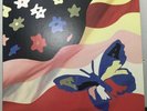 the avalanches wildflower vinyl used