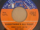 Rare Garage 45/ Robert Walker & Night Riders 