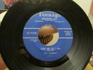 DOOWOP THE DEMENS TEENAGE 1006/TAKE ME AS I AM/YOU BROKE MY HEART