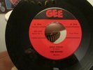 DOOWOP THE ECHOES GEE 1028 DING DONG/MY HEART BEATS FOR YOU