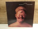 LP: PETER SCHLEICHER. DURCH DIE WAND. POLYDOR 811511-1( 1983 ) inkl. Poster.