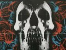 Deftones • Self Titled/Skull and Roses NEW SEALED Vinyl LP SHIPS TODAY
