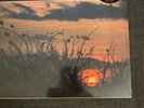 don rendell ian carr Dusk Fire Lp