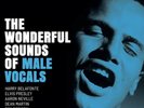 The Wonderful Sounds Of Male Vocals 180g 2LP Audiophile Sampler Analogue Prod.