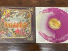 Panic At The Disco Pretty. Odd. Color Vinyl Record LP Rare Folk Rock Pop