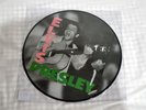 Elvis Presley Debut LP Limited Edition Vinyl Picture Disc LP Brand Sealed King