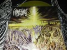 HORRENDOUS chills 1/250 COLOR vinyl LP death metal pestilence gorguts