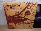 Wishbone Ash ?– Pilgrimage Lp mint- 1971 Prog Rock Rarity... Archive Unplayed
