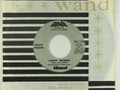 Latin Sweet Soul 45 - Ralfi Pagan - Stray Woman/Make It - Wand/Fania - VG++ mp3