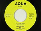 Northern Soul 45 - Chantells & Aqua Lads - I'll Never Know - Aqua - VG+ mp3
