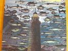 Elvin Jones - Live At The Lighthouse (D. Liebman, S.Grossman; German pr.)  2 LPs