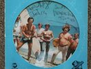 The Turtles - AUTOGRAPHED Picture Disc Rhino RNPD 901 Vinyl Record with Jacket
