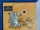 Robert Plant  - Dreamland