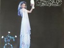 Stevie Nicks 