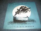 3 LP - Fury in the Slaughterhouse - Little Big World - unplugged