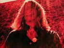 ORIGINAL 2014 TY SEGALL Album MANIPULATOR Record180 GRAM Vinyl 2Lp NEAR MINT