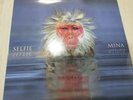 MINA - SELFIE (LP SIGILLATO EDIZIONE A TIRATURA LIMITATA NUMERATA GSU 2014)