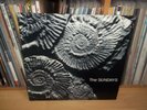THE SUNDAYS Reading,writing and arithmetic UK 90 ROUGH TRADE 1st Press INDIE LP