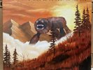 Weezer Everything Will Be Alright in the End Vinyl LP Record 2014 180gm