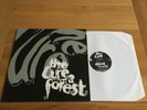 The Cure-A forest.12