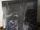 Danzig - Danzig 5: Blackacidevil - LP Vinyl - NEW Silver Limited Edition Vinyl