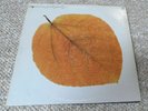 Seasons - Pete Jolly A&M SP 3033 Vinyl Record Album. Promotional