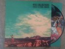 Noel Gallagher's High Flying Birds Who Built The Moon? picture disc vinyl