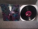 A DAY TO REMEMBER LP METALCORE PIERCE THE VEIL PARKWAY DRIVE HOPES DIE LAST HXC