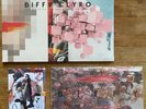 BIFFY CLYRO THE MYTH OF THE HAPPILY EVER AFTER RED VINYL + 10” + SIGNED POSTCARD
