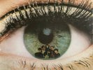 RARE PSYCH SOUL ROCK LP THE FREAK SCENE PSYCHEDELIC PSOUL OG US CBS 1967