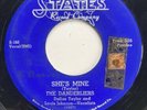 THE DANDERLIERS She’s Mine/My Love STATES S-160 RARE R&B 45