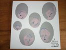 LIMITED SAM FENDER SHRIGLEY SLEEVE + SEALED SEVENTEEN GOING UNDER VINYL LP