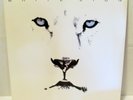 WHITE LION - PRIDE LP VINYL RECORD 1987 Atlantic Original Pressing - Near Mint
