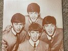 The Beatles-File Under-picture Pic Vinyl album-limited-McCartney-Lennon-Israel