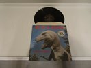 PYLON CHOMP LP  ORIG. 1983 DB RECS w/ SERRATED COVER IN SHRINK & HYPE