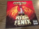 Tenacious D - Rize Of The Fenix LP - Excellent Condition