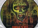 SLAYER - SEASONS IN THE ABYSS RARE COLLECTORS PICTURE DISC LP (CORRECT PRESSING)