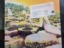 LED ZEPPELIN HOUSES OF THE HOLY LP ATLANTIC SD19130 STILL SEALED (HYPE STICKERS)