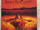 Alice in Chains Dirt Vinyl Used (only played once)