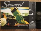 SEAWEED - Spanaway LP Vinyl Vg+ 1995 Promo Grunge Punk Indie Hollywood Rare
