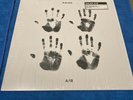 Kaleo A / B Vinyl In Shrink NM LP