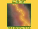 Scientist In The Kingdom Of Dub Vinyl LP Record  Reggae Sly & Robbie Album  NEW